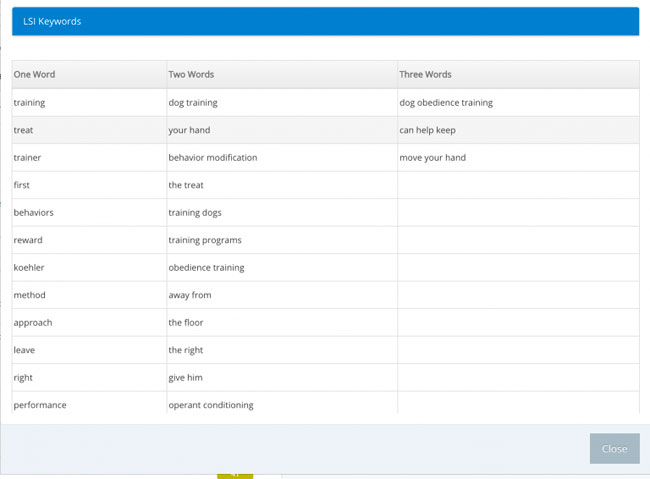 What Are LSI Keywords?