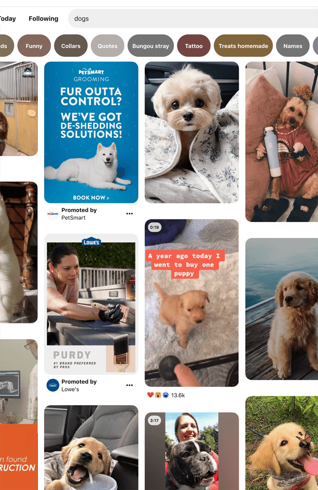 Pinterest SEO Pinterest SEO